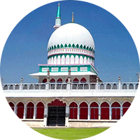 سید تاج الدین قادری