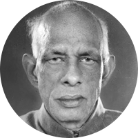 پروفیسر محمد حبیب