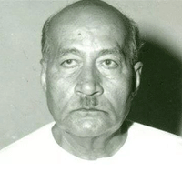 Josh Malihabadi